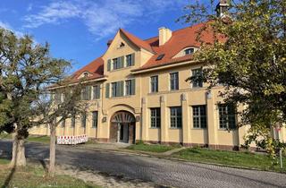 Wohnung mieten in Bahnhofstraße, 38835 Osterwieck, 2- Raum-Wohnung mit Balkon im "Gutenberg" frei!