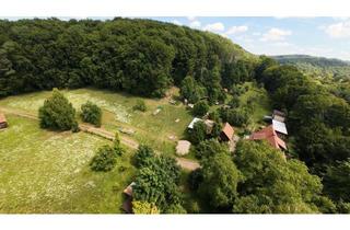 Haus kaufen in 99834 Gerstungen, Landhaus auf großem Wald- und Wiesengrundstück mitten in Deutschland