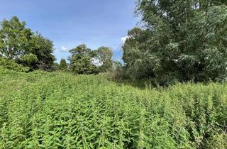 Haus kaufen in Hörn 5A, 24306 Bösdorf, Natürliche Tiny Häuser zur Eigennutzung/als stbg. Kapitalanlage im idyllischen Kleinmeinsdorf