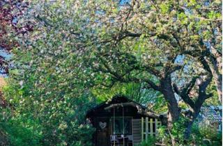 Einfamilienhaus kaufen in 21493 Schwarzenbek, Stilvoll saniertes Einfamilienhaus in gesuchter Lage von Schwarzenbek/Krs. Herzogtum Lauenburg