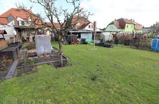 Doppelhaushälfte kaufen in 03238 Sallgast, Ankommen im Grünen: gepflegte Doppelhaushälfte mit eigenem Garten