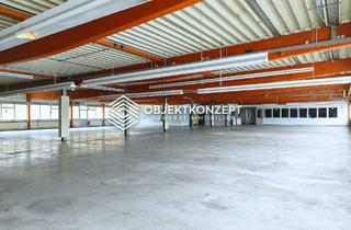 Gewerbeimmobilie mieten in 78564 Wehingen, Provisionsfrei - 1.900 m² Hallenteil mit separatem Eingang ab 2,95€/m² - Produktion oder Lagerung