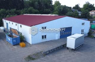 Büro zu mieten in 88356 Ostrach, Große Gewerbehalle mit hoher Traglast, Deckenkran und Büroeinheiten im Gewerbegebiet Ostrach