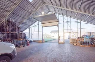 Gewerbeimmobilie kaufen in 32791 Lage, Großes Grundstück mit Hallenflächen in Lage zu verkaufen