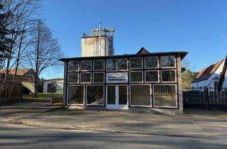 Gewerbeimmobilie kaufen in Kaeselow 51a, 19209 Lützow, Vielseitig nutzbarer Gewerbestandort / Tischlerei in zentraler Lage