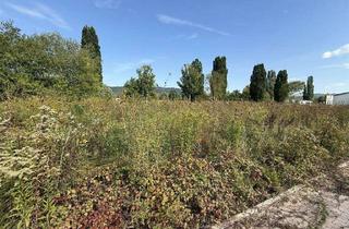 Grundstück zu kaufen in 37213 Witzenhausen, Schönes Baugrundstück in Witzenhausen - Am Katharinenhof