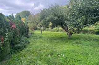 Grundstück zu kaufen in 61130 Nidderau, Großes Grundstück mit sanierungsbedürftigem Haus!