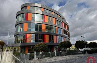 Büro zu mieten in 68519 Viernheim, Exclusive Penthouse-Büroetage ca. 372m² in repräsentativem & modernem Bürogebäude - Sofort frei