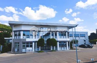Gewerbeimmobilie mieten in 78564 Wehingen, Provisionsfreies Verwaltungsgebäude in Wehingen – moderne Ausstattung auf 676 m²