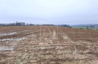 Immobilie kaufen in 54634 Bitburg, Ackerland in Bitburg