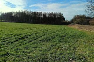 Gewerbeimmobilie kaufen in Waldweg, 88326 Aulendorf, GRÜNLAND BLÖNRIED 1,7ha (Grünfläche Wiese Weide Ausgleichsfläche) Landkreis Ravensburg