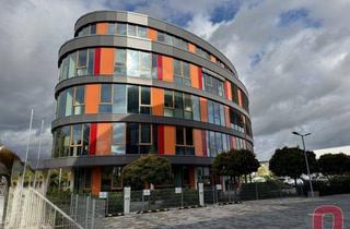 Gewerbeimmobilie mieten in 68519 Viernheim, Exclusive Penthouse-Büroetage ca. 372m² in repräsentativem & modernem Bürogebäude - Sofort frei