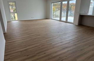 Penthouse mieten in Gustave-Eiffel-Straße 14, 67663 Innenstadt, Neubau Erstbezug - Exklusives 4 ZKB-Penthouse mit Dachterrasse in attraktiver Lage