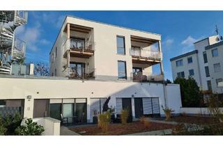 Lofts mieten in 53121 Endenich, Bonn-Endenich, alter Ortskern: 1-Zimmer-Loft mit Einbauküche, Terrasse, Neubau 2019/20