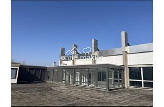 Gewerbeimmobilie kaufen in 23730 Sierksdorf, 180 m² Gewerbe in Ferienanlage | Parkplätze und Terrasse | Nähe HansaPark | Mietkauf möglich