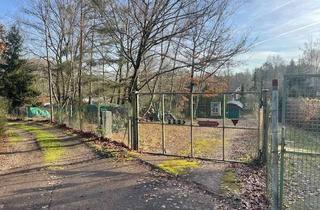 Haus kaufen in Zum Kaltwassereichbaum 28, 55425 Waldalgesheim, Tolles Ferienhaus im Wochenendgebiet