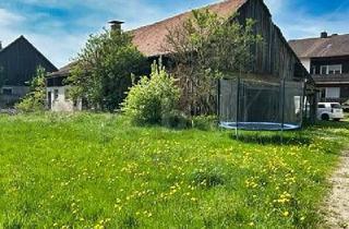 Grundstück zu kaufen in 92331 Parsberg, VIELSEITIG NUTZBAR MIT STADEL