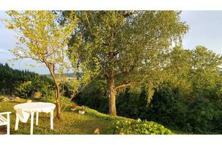 Wohnung mieten in Trollingerstrasse, 71723 Großbottwar, Wohngemeinschaft