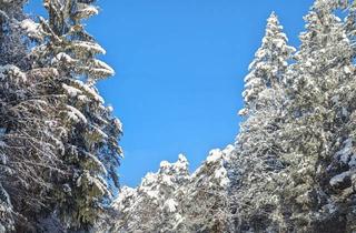Garagen kaufen in 83700 Rottach-Egern, WERDEN SIE WALDBESITZER - PRIVATWALD IN BESTER LAGE