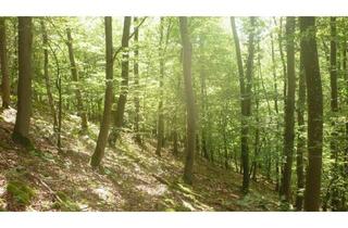 Grundstück zu kaufen in 85139 Wettstetten, Wettstetten - Mischwald Nürnberger Land Pommelsbrunn