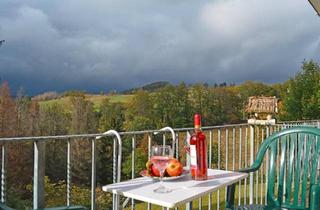 Wohnung kaufen in 37444 St. Andreasberg, Braunlage - Ferienwohnung Stankt Andreasberg