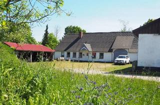 Bauernhaus kaufen in 24983 Handewitt, Handewitt - Bauernhof mit Stallgebäude in idyllischer Lage an der Meynau