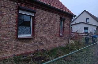 Doppelhaushälfte kaufen in 17391 Neetzow-Liepen, Neetzow-Liepen - Haus zu verkaufen