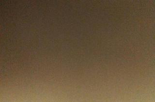 Haus kaufen in 44869 Bochum, Bochum - Mehrfamilien Haus mit drei Wohneinheiten riesen Garten zwei Garag