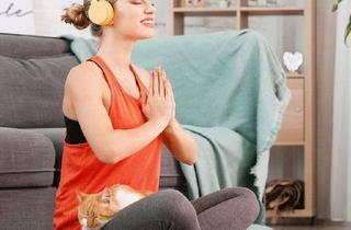 Wohnung mieten in August-Milarch-Straße, 17033 Katharinenviertel, Dein neues Zuhause!