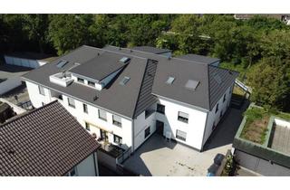 Wohnung mieten in Fröbelstraße 24, 67071 Oggersheim, Moderne 3-Zimmer-Wohnung im Erdgeschoss mit Terrasse und Garten (WE 4)