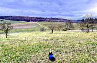 Wohnung mieten in Im Steinig 12, 76703 Kraichtal, 3-Zimmerwohnung mit Terrasse für die ganze Familie incl. Haustier