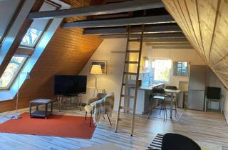 Wohnung mieten in 23858 Wesenberg, Individuelle Dachgeschosswohnung in Stubbendorf