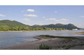 Wohnung mieten in 53173 Bad Godesberg, Helle 3,5-Zimmer Wohnung mit Balkon in Bonn
