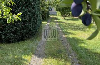 Haus kaufen in 01990 Großkmehlen, Ein Haus für alle Fälle! Großfamilie, 2-Familien, WG, Mehrgenerationen, etc.