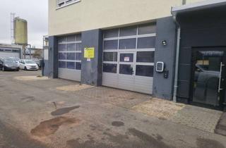 Gewerbeimmobilie mieten in Hämmerlestraße, 71126 Gäufelden, Werkstatt mit 2 Hebebühnen