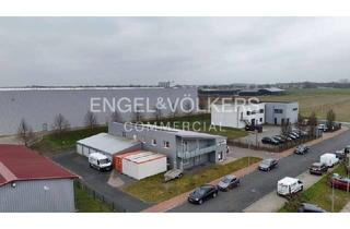 Gewerbeimmobilie mieten in 31515 Wunstorf, Moderne Gewerbeliegenschaft in Wunstorf-Luthe