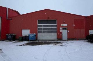 Büro zu mieten in An De Wurth, 48496 Hopsten, Gewerbehalle mit Büroräumen, WC´s und Sektionaltor (Rheine,Lingen,Ibbenbüren)