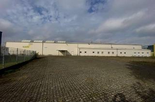 Gewerbeimmobilie mieten in Daimlerstraße 5-8, 48477 Hörstel, Gewerbehalle mit hervorragender Verkehrsanbindung!