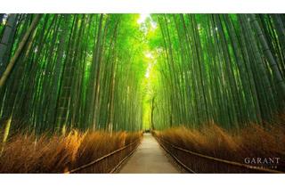 Grundstück zu kaufen in 76185 Grünwinkel, Großes Baugrundstück in Karlsruhe