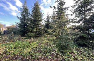 Grundstück zu kaufen in 48653 Coesfeld, RARITÄT - Attraktives Baugrundstück in einem gewachsenem Wohngebiet in Coesfeld.