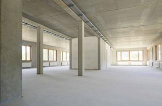 Praxen mieten in Konrad-Zuse-Ring 13, 14469 Nedlitz, Neubau-Arztpraxis oder Forschungsfläche auf dem Innovationscampus Jungfernsee @WORKHUB