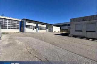 Lager kaufen in 71701 Schwieberdingen, Attraktives Gewerbeareal mit großer Industriehalle