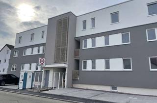 Wohnung mieten in Lerchenstraße 17, 74336 Brackenheim, Tolle 4,5-Zimmer-Wohnung mit Küche in Brackenheim