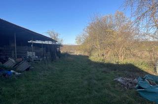 Lager kaufen in 76889 Barbelroth, Vielseitig nutzbare landwirtschaftliche Halle mit weiteren Überdachungen und Freifläche!