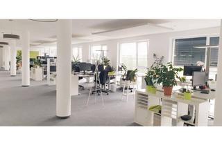 Büro zu mieten in Marlene-Dietrich-Allee, 14482 Potsdam, Arbeiten in entspannt konzentrierter Atmosphäre