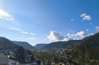 Wohnung kaufen in 75378 Bad Liebenzell, Bad Liebenzell - Komplett renovierte 4,5-Zimmer Wohnung - PROVISIONSFREI