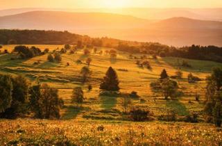 Mehrfamilienhaus kaufen in 36142 Tann, Tann (Rhön) - Mehrfamilienhaus in der Rhön zu verkaufen