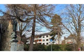 Wohnung mieten in 88662 Überlingen, Erstbezug nach Kernsanierung:Hochwertige 2-Zimmer-Wohnung mit Südbalkon und Altstadtblick