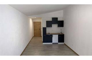 Wohnung mieten in Brückenstraße, 74219 Möckmühl, 1-Zimmer-Apartment "Neubau mit direktem Ausblick auf die Jagst"