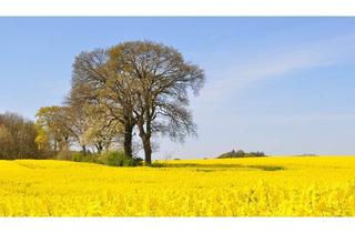 Wohnung mieten in Bahnhofstrasse 34, 24392 Süderbrarup, Gepflegte 2,5-Zimmer-Wohnung mit Terrasse und EBK in Süderbrarup